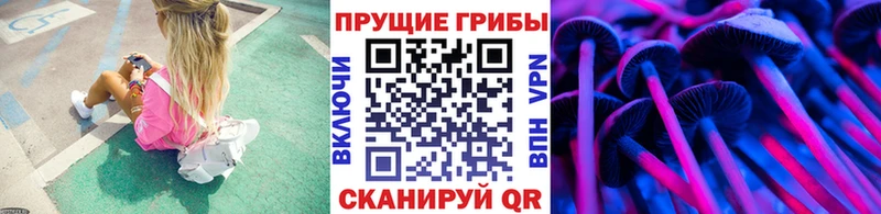 Псилоцибиновые грибы Psilocybe Тырныауз